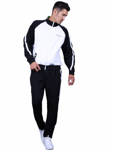 Спортивный костюм Zibroo DSprM1520
