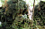 Костюм Rothco камуфляжный: штаны и брюки Ultra Light Ghillie